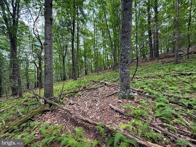 Lot 20 Wits End, Mathias, WV 26812 - photo 5