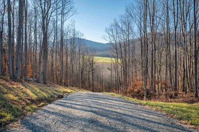 1590 Mill House Rd, Woolwine, VA 24185 - photo 7