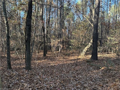 Lot 3 Willie Rd, Seagrove, NC 27341 - photo 6