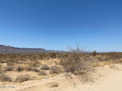 Lot 24 W Wilshire Rd, Yucca, AZ 86438 - photo 4