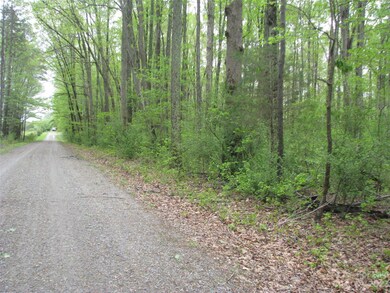 558 Akinbac Rd, Clover, SC 29710 - photo 6