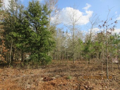 404 Peachtree St W, Douglas, GA 31533 - photo 3