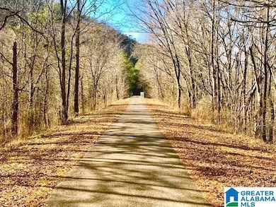 Lot 12 County Road 219, Piedmont, AL 36272 - photo 2