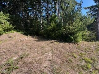 1801 NW Cedar St, Waldport, OR 97394 - photo 4