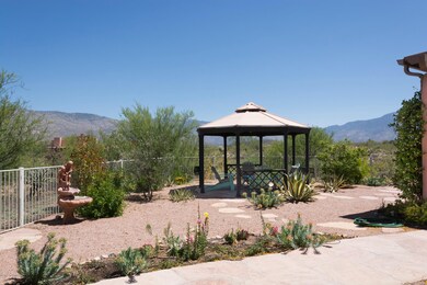 backyard-3