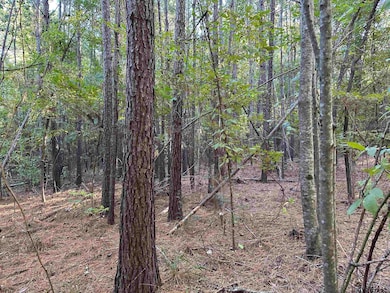 TBD County Road 1707, Jacksonville, TX 75766 - photo 3