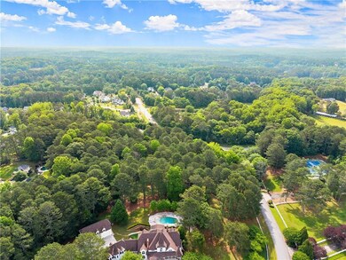 Bird's eye view of a forest