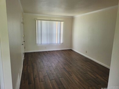 4723 Belinda Lee St, San Antonio, TX 78220 - photo 4