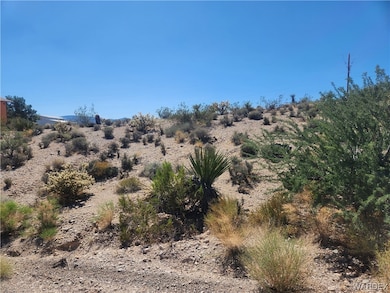 View of local wilderness
