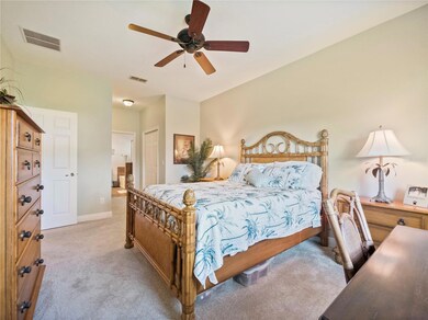 21703 Belgian Ct, Mount Dora, FL 32757 - photo 7