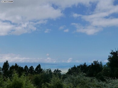 0 Haleakala Hwy, Kula, HI 96790 - photo 2