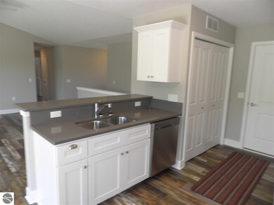 7432 E Meadows Dr, Cedar, MI 49621 - photo 7