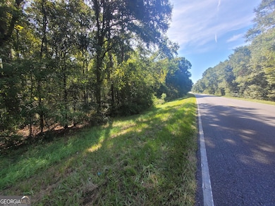 LOT 224 Chula Brookfield Rd, Tifton, GA 31794 - photo 3