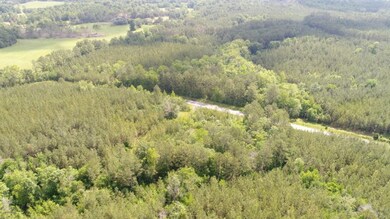 00 Mcentire Rd, Chatsworth, GA 30705 - photo 4