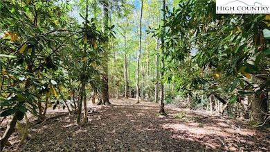 Lot 49 Abaco Dr, Vilas, NC 28692 - photo 7