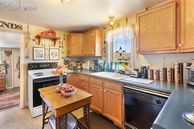 310 Whiting Ave, Cripple Creek, CO 80813 - photo 4