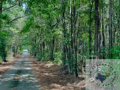 Tbd Fm 2149, Maud, TX 75567 - photo 6