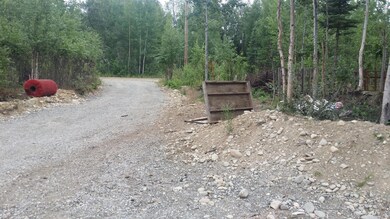 14021 W Cherrywood Dr, Wasilla, AK 99652 - photo 4