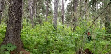 20180718_115237_resized