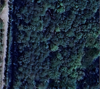 18 Skyline Dr, Braswell, GA 30153 - photo 6