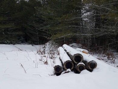 0 Thornapple Ln unit 22201024, Tomahawk, WI 54487 - photo 2