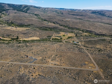 12345 Colockum Rd, Ellensburg, WA 98926 - photo 6