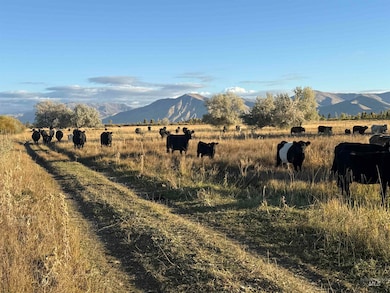 Mountain view featuring agricultural land
