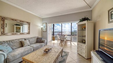 Living room and extended lanai