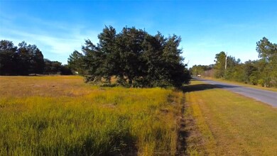 Lot 250 Peabody St, Wedgefield, FL 32833 - photo 7