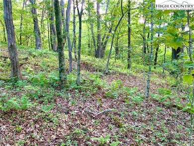 Lush vegetation on Lot#18