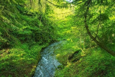 35xx Mountainview Rd, Chewelah, WA 99109 - photo 6