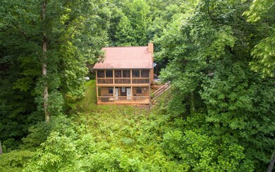 Additional View