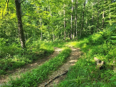 5855 Olney Run Rd, McConnelsvle, OH 43756 - photo 4