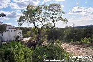 19403 Terra Mont, San Antonio, TX 78255 - photo 2