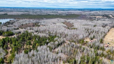 5303 Markham Rd, Colvin Township, MN 55763 - photo 3