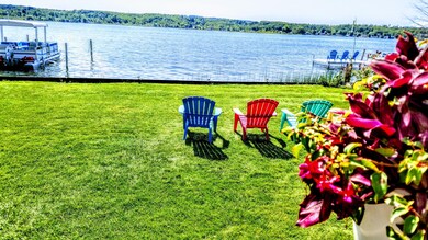 Lush Lawn