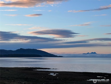 From soft muted sunrises...