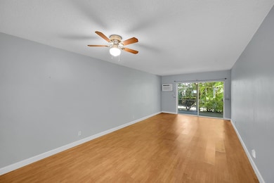 2115 NE 42nd Ct unit 110N, Lighthouse Point, FL 33064 - photo 6