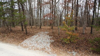 lot50,51 Diane Cir, Crossville, TN 38572 - photo 7