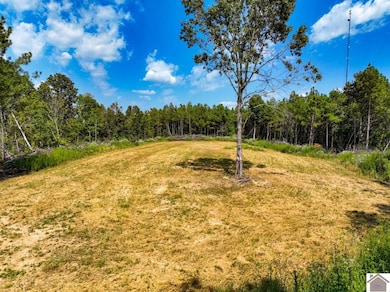 000 State Route 1433 unit Lookout Tower Ro, Salem, KY 42078 - photo 5