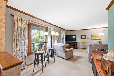 4108 Everett Rd, Richfield, OH 44286 - photo 4