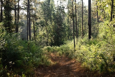 0 Grice Rd, Columbia, MS 39429 - photo 4