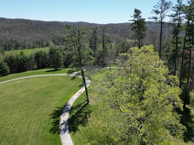 451 Pinecrest Ln, Marlinton, WV 24954 - photo 6