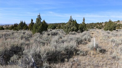 TBD Sundowner Rd, Sheridan, MT 59749 - photo 6