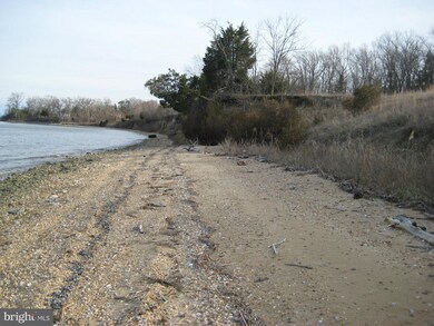 0 Sandy Beach Ln unit 1003746903, King George, VA 22485 - photo 5