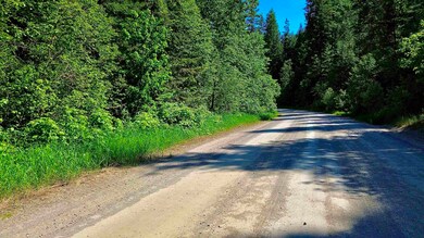 NNA McCloud Creek Rd, Newport, WA 99156 - photo 7