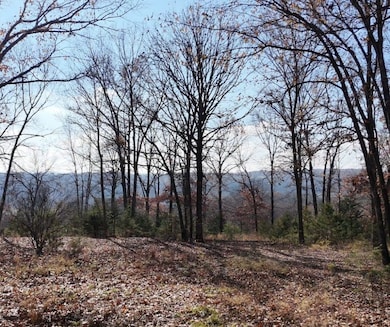 2465 Denton Ferry Rd, Cotter, AR 72626 - photo 5