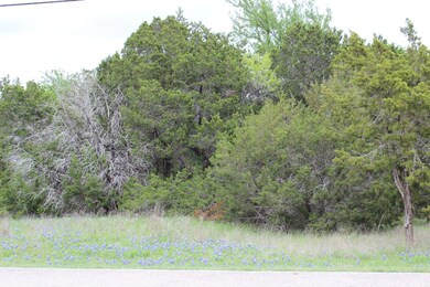 1522 Lakeside Trail, Whitney, TX 76692 - photo 2