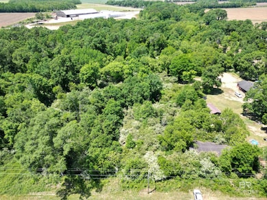 10961 Highway 97, Mc David, FL 32568 - photo 4