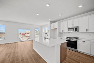 7217 Large Ave NE, Otsego, MN 55301 - photo 4